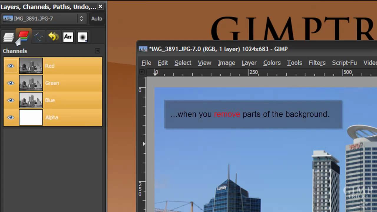 what does gimp mean